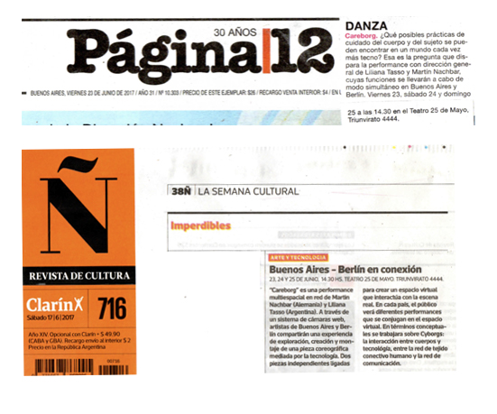 Página 12 y Revista Ñ - Careborg